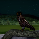 Image for article titled More On Shiki-Tei, The PS3 Gardening "Game"